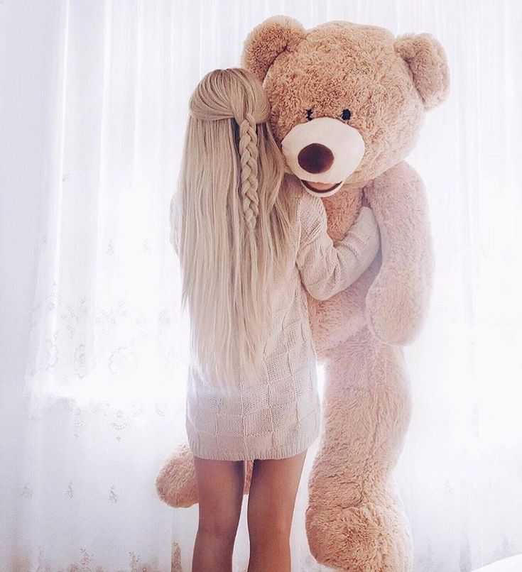 Teddy Bear Photos DP