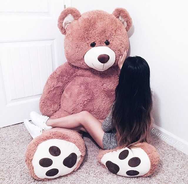 Teddy Bear Photos DP