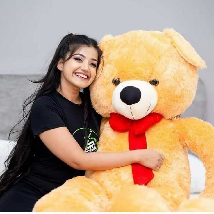 Teddy Bear Photos DP