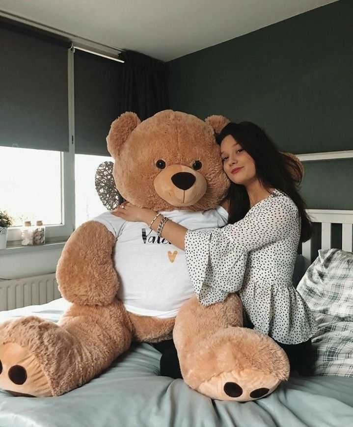 Teddy Bear Photos DP