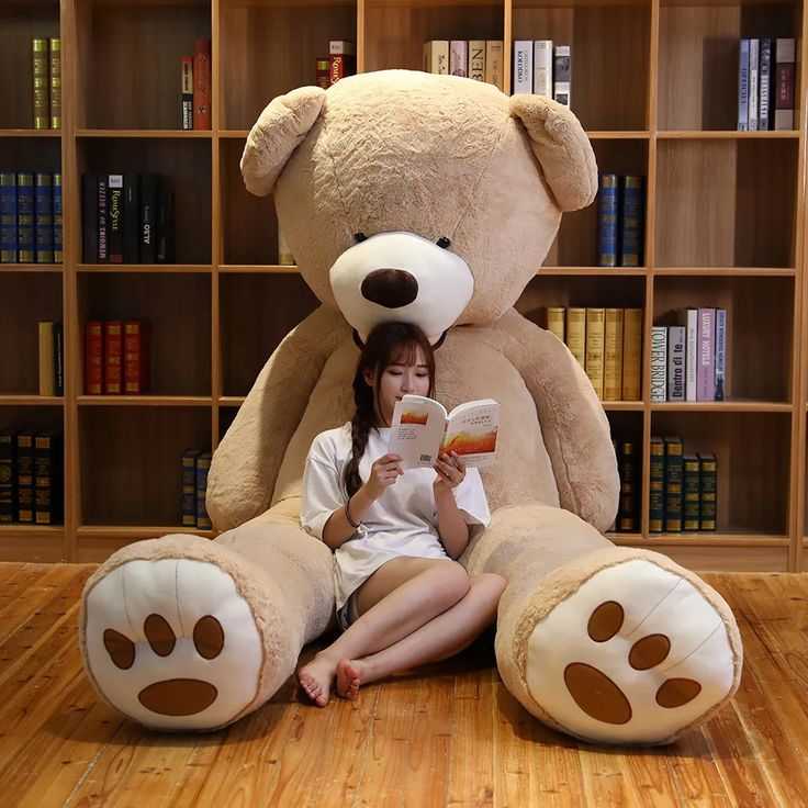 Teddy Bear Photos DP