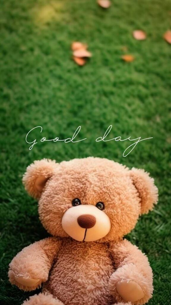 Teddy Bear Photos DP