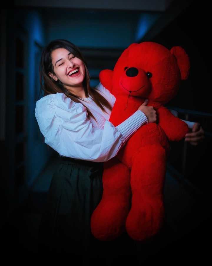 Teddy Bear Photos DP