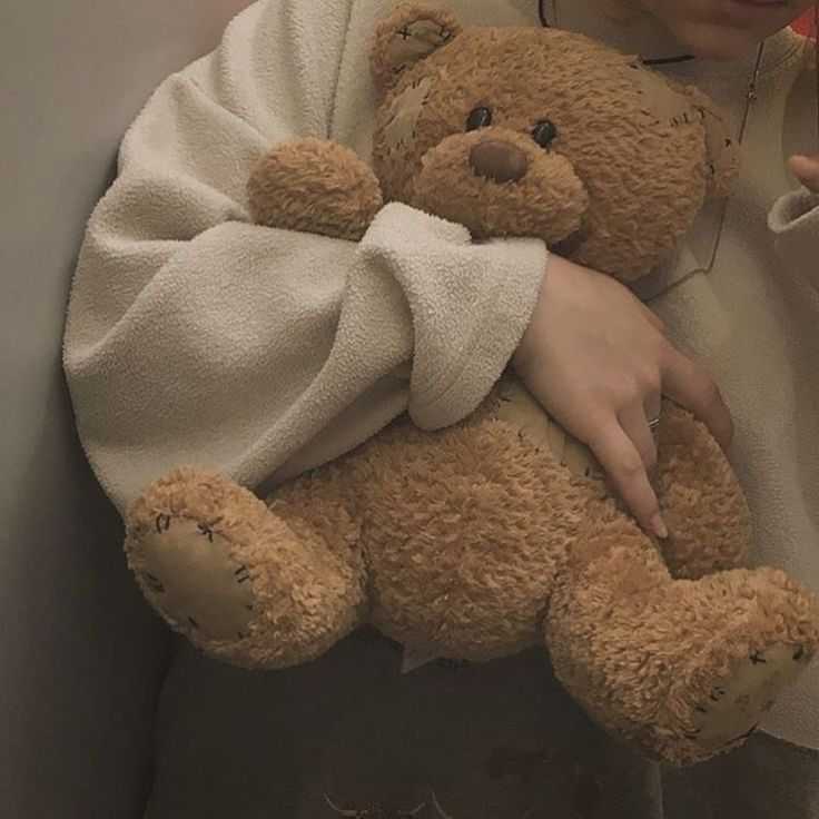 Teddy Bear Photos DP