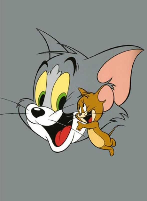 Tom and Jerry DP