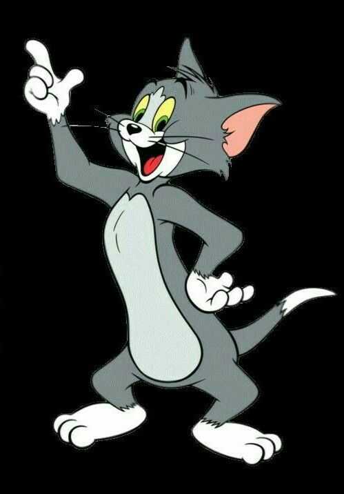 Tom and Jerry DP