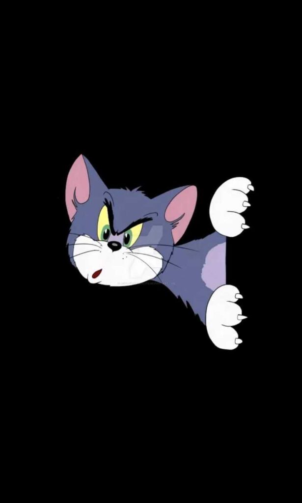 Tom and Jerry DP