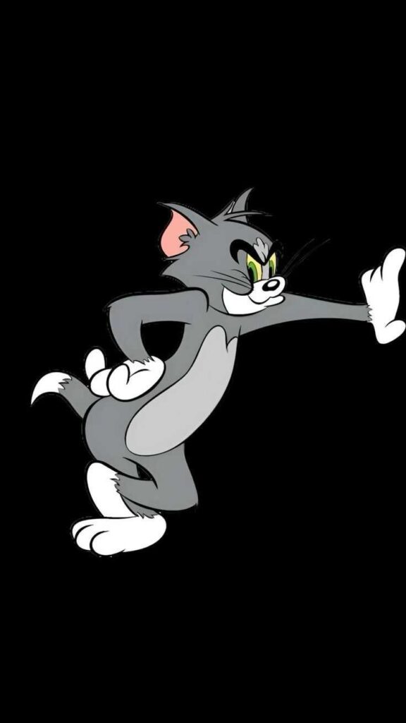 Tom and Jerry DP