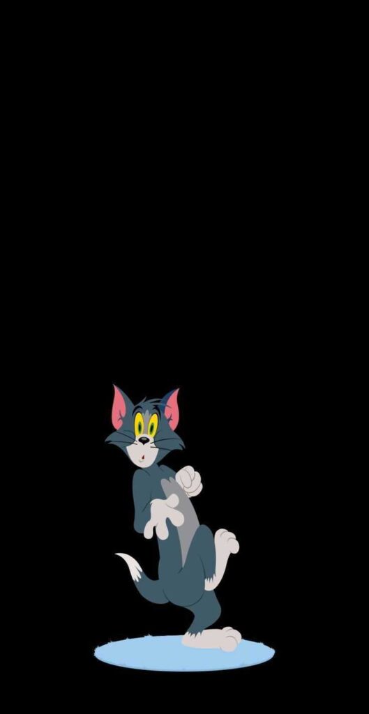 Tom and Jerry DP