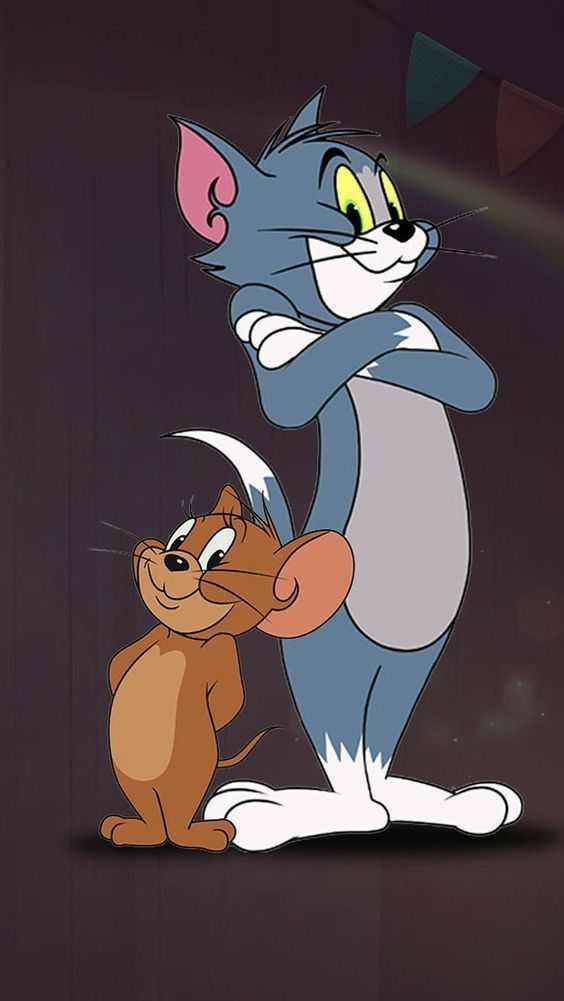 Tom and Jerry DP